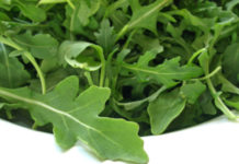 Rucola 763 0 012 Rucola_ok